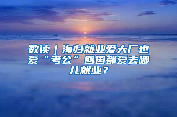 数读｜海归就业爱大厂也爱“考公”回国都爱去哪儿就业？