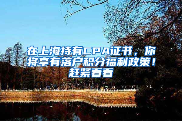 在上海持有CPA证书,你将享有落户积分福利政策!赶紧看看