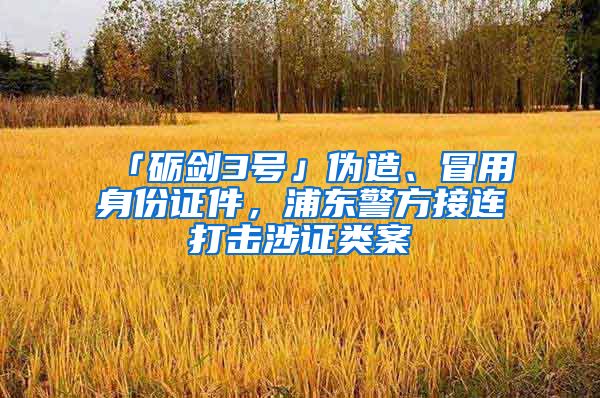 「砺剑3号」伪造、冒用身份证件,浦东警方接连打击涉证类案