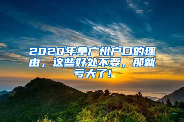 2020年拿广州户口的理由,这些好处不要,那就亏大了!