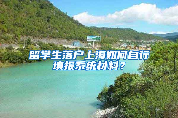 留学生落户上海如何自行填报系统材料?