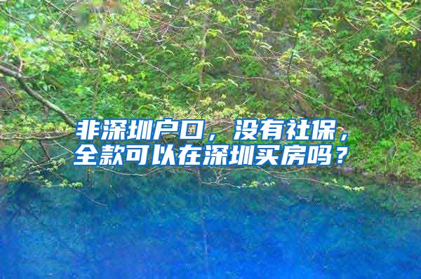 非深圳户口,没有社保,全款可以在深圳买房吗?