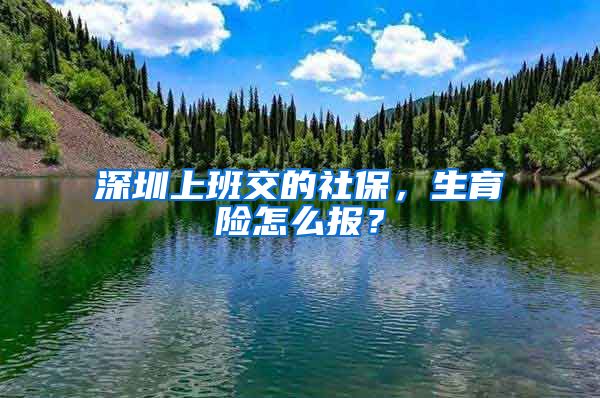 深圳上班交的社保,生育险怎么报?