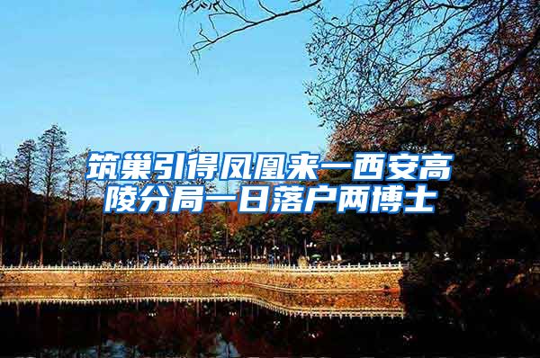 筑巢引得凤凰来一西安高陵分局一日落户两博士