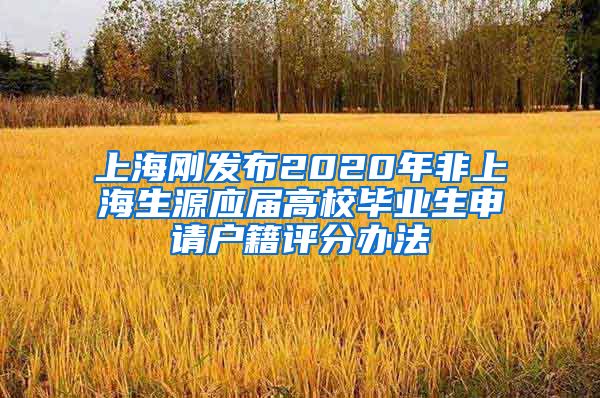 上海刚发布2020年非上海生源应届高校毕业生申请户籍评分办法