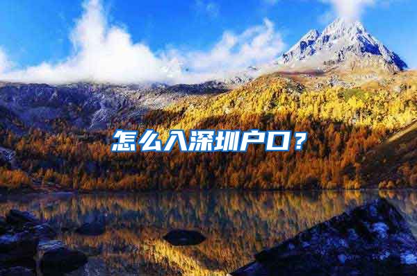 怎么入深圳户口？