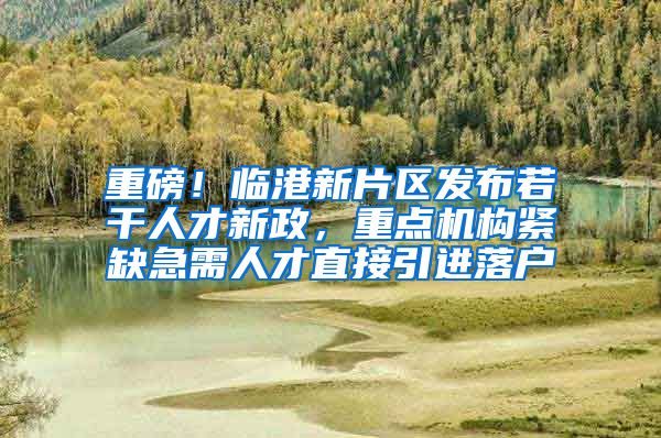 重磅！临港新片区发布若干人才新政，重点机构紧缺急需人才直接引进落户