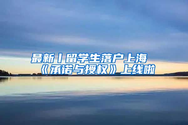 最新丨留学生落户上海《承诺与授权》上线啦