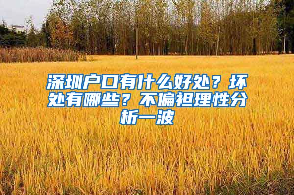 深圳户口有什么好处？坏处有哪些？不偏袒理性分析一波