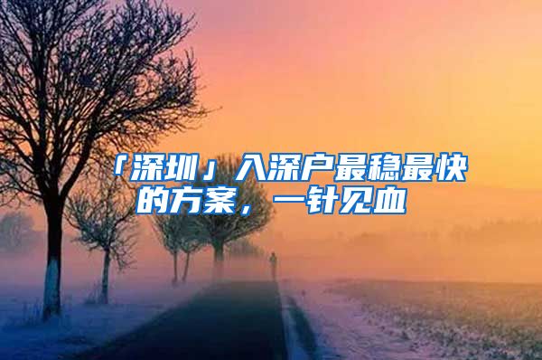 「深圳」入深户最稳最快的方案,一针见血