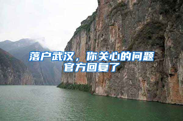 落户武汉，你关心的问题官方回复了