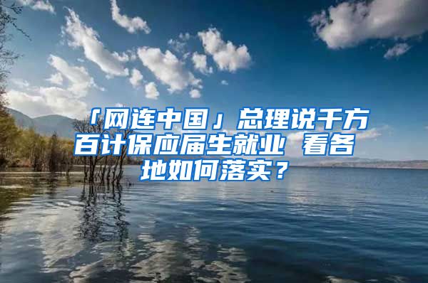 「网连中国」总理说千方百计保应届生就业 看各地如何落实？