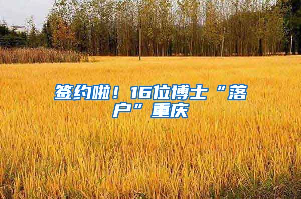 签约啦!16位博士“落户”重庆