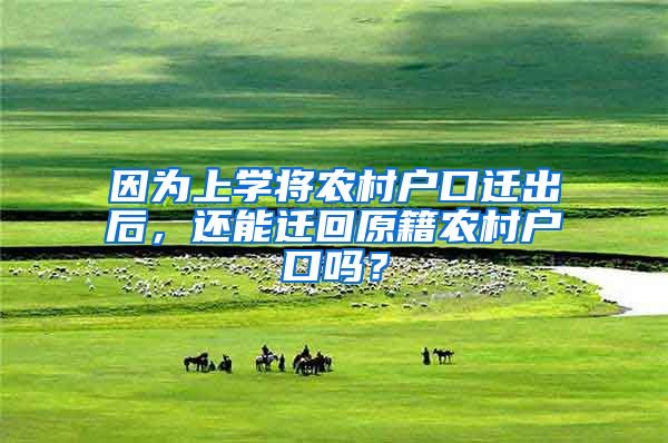 因为上学将农村户口迁出后，还能迁回原籍农村户口吗？