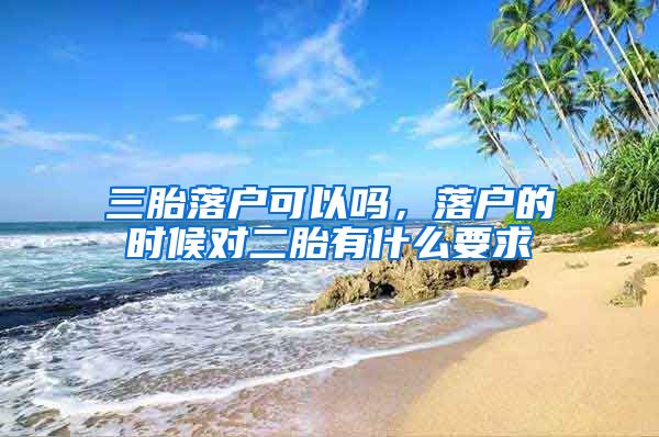 三胎落户可以吗,落户的时候对二胎有什么要求