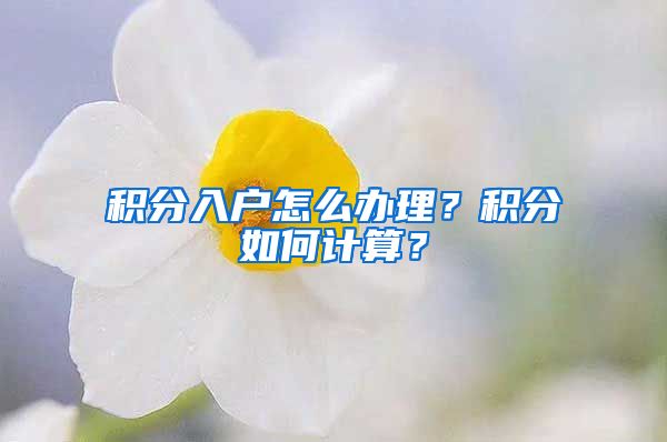 积分入户怎么办理？积分如何计算？