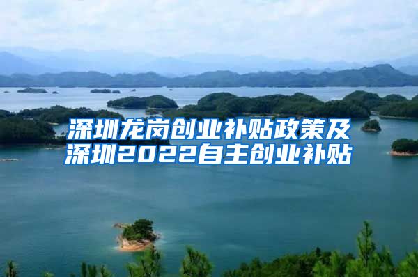 深圳龙岗创业补贴政策及深圳2022自主创业补贴