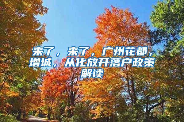 来了，来了，广州花都，增城，从化放开落户政策解读