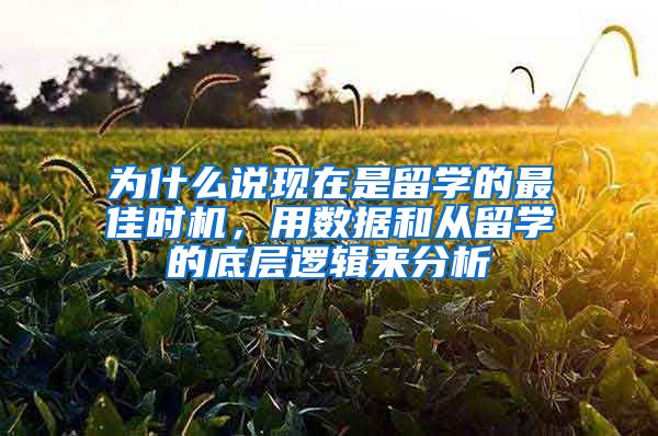 为什么说现在是留学的最佳时机，用数据和从留学的底层逻辑来分析
