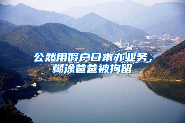 公然用假户口本办业务,糊涂爸爸被拘留