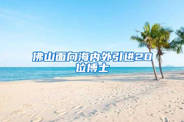 佛山面向海内外引进20位博士