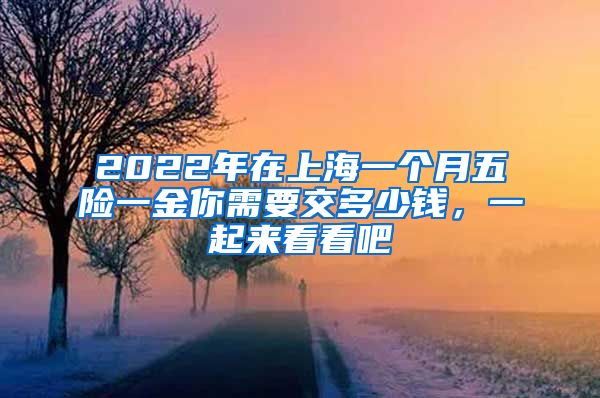 2022年在上海一个月五险一金你需要交多少钱，一起来看看吧