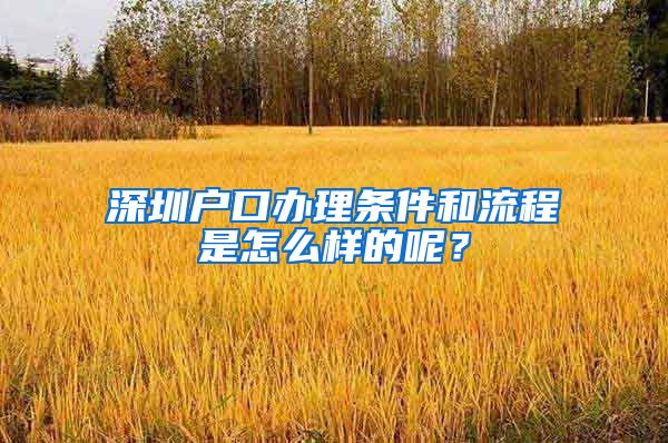 深圳户口办理条件和流程是怎么样的呢？