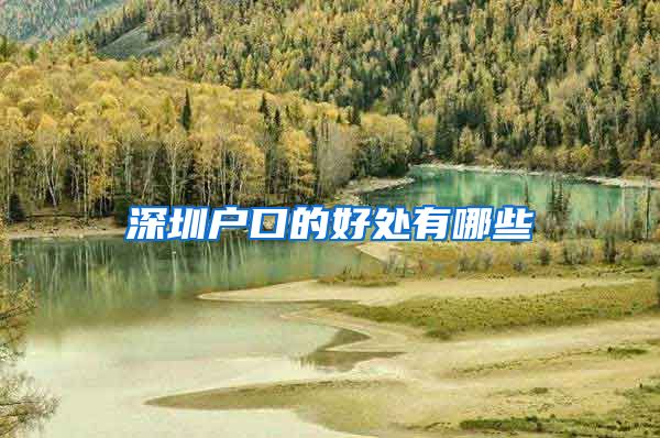 深圳户口的好处有哪些
