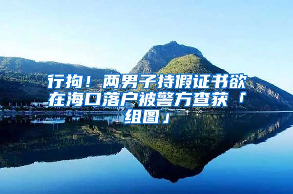 行拘!两男子持假证书欲在海口落户被警方查获「组图」