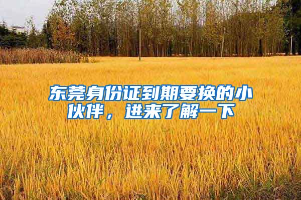 东莞身份证到期要换的小伙伴,进来了解一下