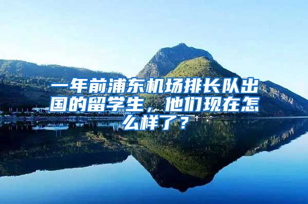 一年前浦东机场排长队出国的留学生，他们现在怎么样了？
