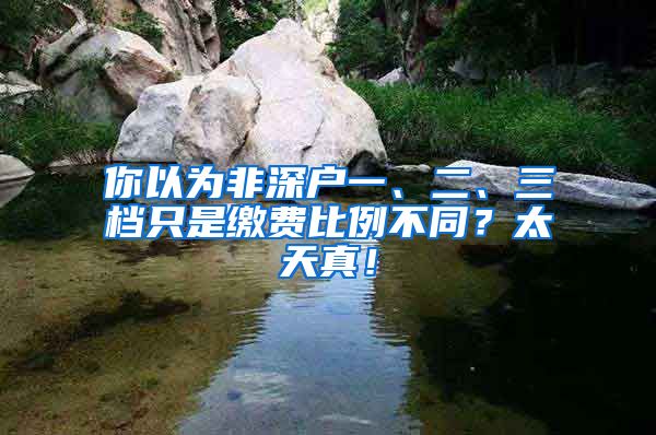 你以为非深户一、二、三档只是缴费比例不同？太天真！