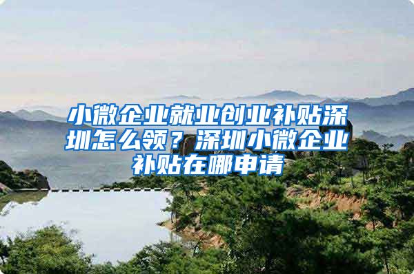 小微企业就业创业补贴深圳怎么领？深圳小微企业补贴在哪申请