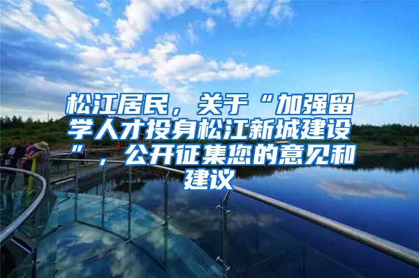 松江居民,关于“加强留学人才投身松江新城建设”,公开征集您的意见和建议→