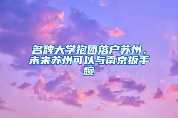 名牌大学抱团落户苏州,未来苏州可以与南京扳手腕