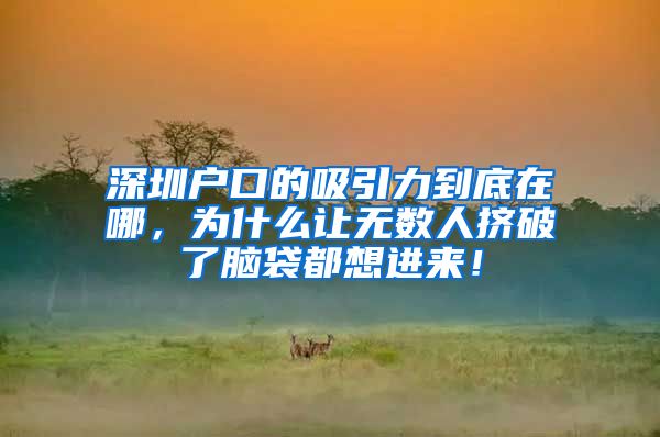 深圳户口的吸引力到底在哪，为什么让无数人挤破了脑袋都想进来！