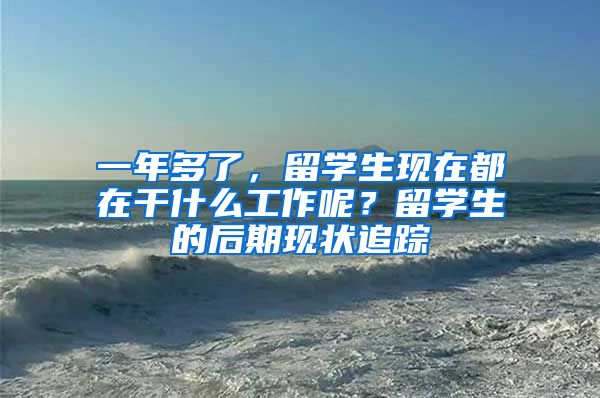 一年多了，留学生现在都在干什么工作呢？留学生的后期现状追踪