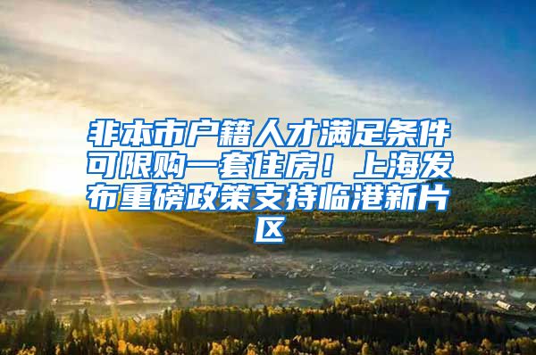 非本市户籍人才满足条件可限购一套住房！上海发布重磅政策支持临港新片区
