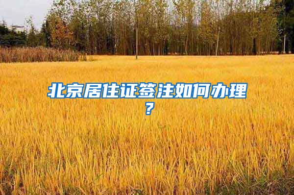 北京居住证签注如何办理？
